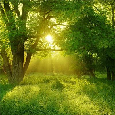 开元娱乐游戏官版正版下载截图